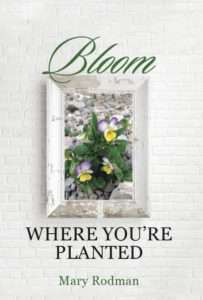 Bloom Where You're Planted, Book 1 of Bloom Daily Devotional Series by Mrs Mary Rodman
