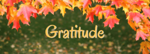 Gratitude - Blog Post at https://MaryRodman.com/blog