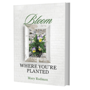 Bloom Where You're Planted by Mary Rodman