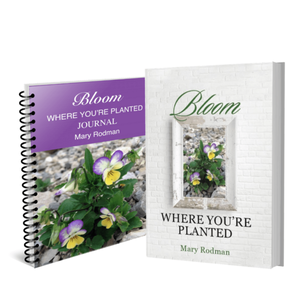 Bloom Where You're Planted - Devotional with matching Journal