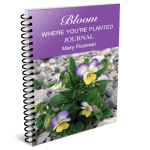 Bloom Where You're Planted Journal by Mary Rodman