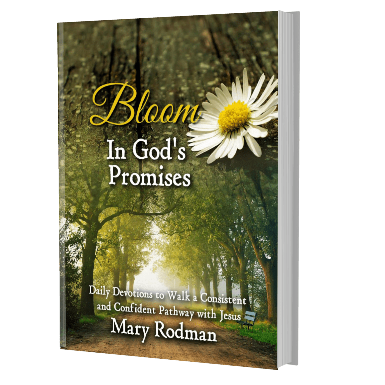 bloom-in-god-s-promises-mary-rodman